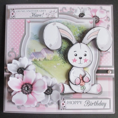 Oh No...Another Grey Hare! by Davina Rundle