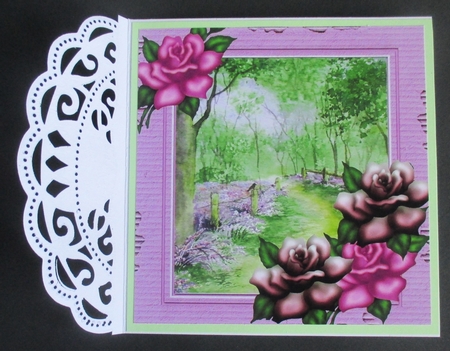 Lilac woodland in cardboard frame with pink roses 8x8 by Davina Rundle