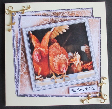 STASH TOP UP 18 CHICKENS by Davina Rundle