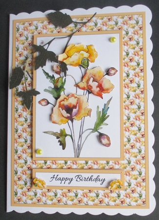 Lovely Watercolor Poppies Birthday Topper by Davina Rundle