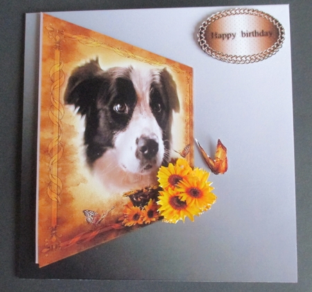 dog by Davina Rundle
