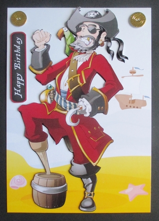 Pirate Dude Red by Davina Rundle