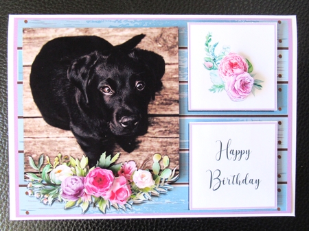 PUPPY LOVE  by Davina Rundle