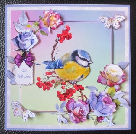 SPRING BLUE TIT by Davina Rundle