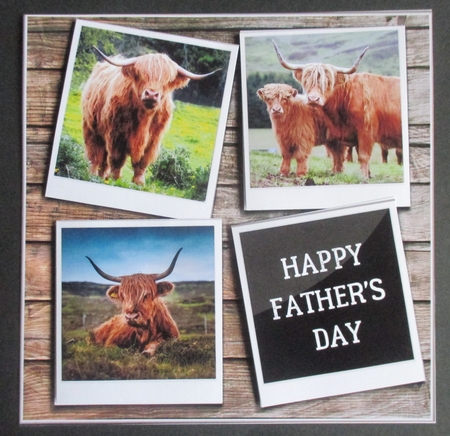HIGHLAND COWS by Davina Rundle