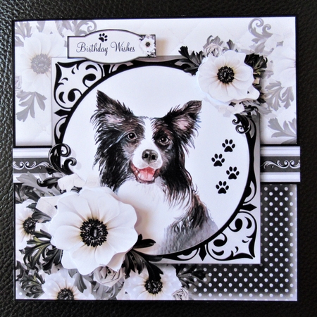 Paw Prints on Your Heart Bumper Kit by Davina Rundle