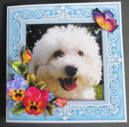 Bichon Frise  Puppy Dog & Pansies 8 x 8 Card Topper With Decoupage by Davina Rundle