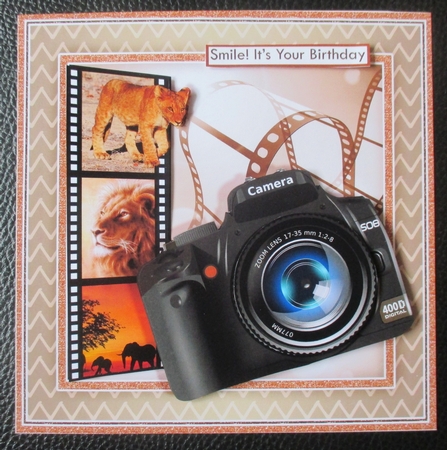 CAMERA SNAPSHOTS ON SAFARI 7.5 Decoupage & Insert Mini Kit by Davina Rundle