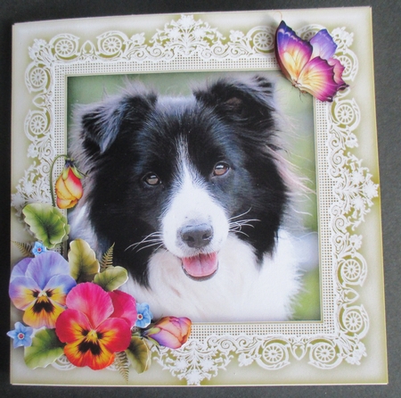 Border Collie Puppy Dog 8 x 8 Card Topper With Pansy Decoupage by Davina Rundle