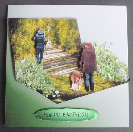 walking the dogs  by Davina Rundle