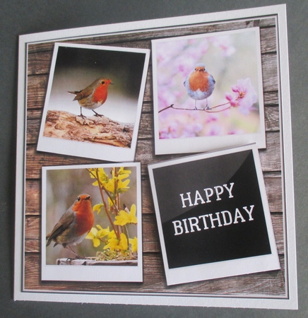 ROBIN REDBREAST 6X6 by Davina Rundle