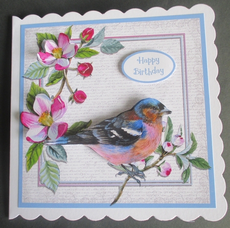 SPRING CHAFFINCH by Davina Rundle