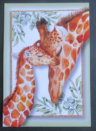 Happy Fathers Day Giraffes by Davina Rundle