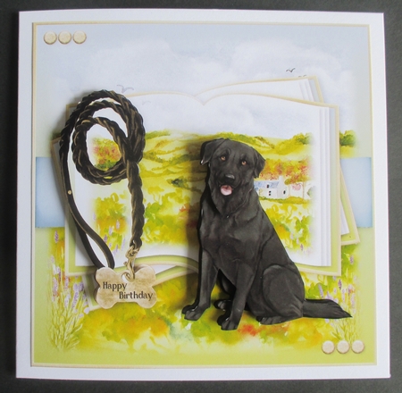 On a Dog Walk  by Davina Rundle