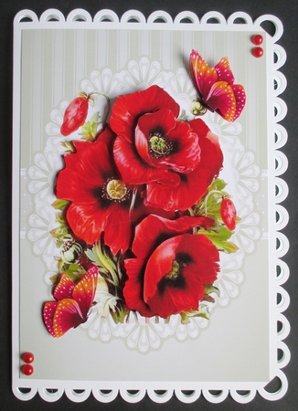 Lovely Red Poppies And Butterflies by Davina Rundle