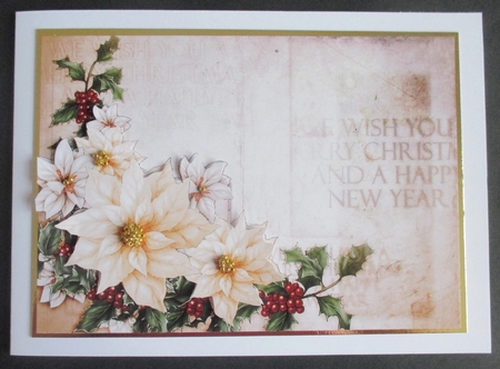 Poinsettia Christmas Spray Cream by Davina Rundle