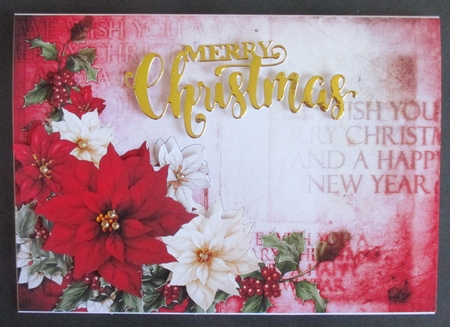 Poinsettia Christmas Spray Red by Davina Rundle