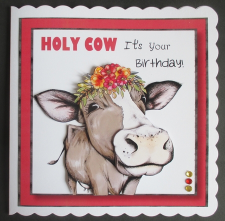 HOLY COW Its Your Birthday by Davina Rundle