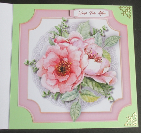 Beautiful Pink French  Roses by Davina Rundle