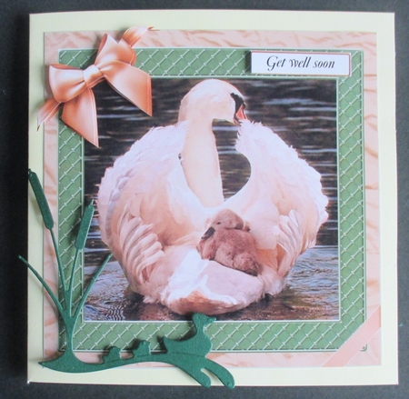 MALE MULTI SENTIMENTS - SWAN & SIGNETS by Davina Rundle