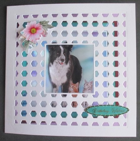 Kitties Big Friend by Davina Rundle
