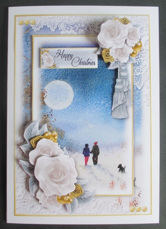 Moonlight Strole by Davina Rundle