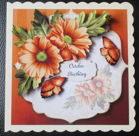 Chrysanthemum Corner - Zesty Orange by Davina Rundle