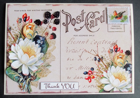 Postcard Florals - Set 1 Card Toppers by Davina Rundle