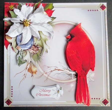 Christmas Cardinal by Davina Rundle