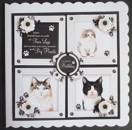 Big Hearts - Cats by Davina Rundle