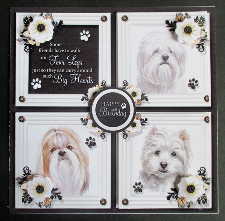 Big Hearts - Small Dogs by Davina Rundle