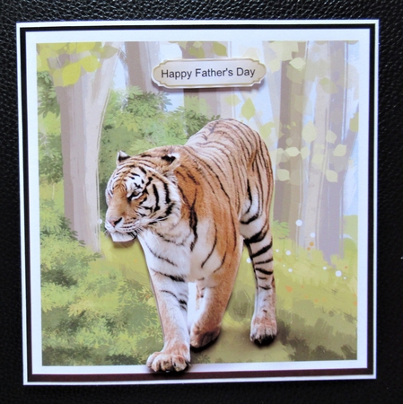 Go wild - tiger mini kit & decoupage by Davina Rundle