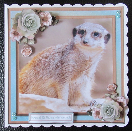 Cute meerkat card mini kit & decoupage by Davina Rundle