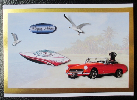 MG on the beach  by Davina Rundle
