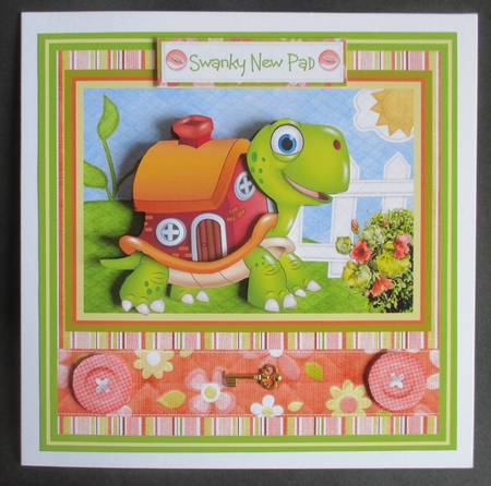 Turtle New home by Davina Rundle