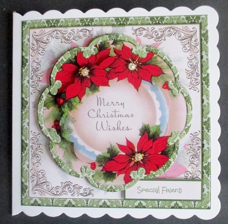 Red Poinsettia by Davina Rundle