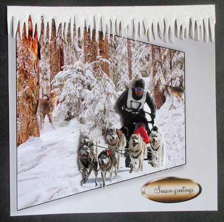 husky run by Davina Rundle