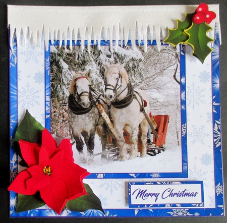 SC Winter sleigh by Davina Rundle