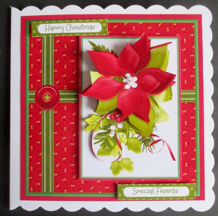 Red poinsettia and berry by Davina Rundle