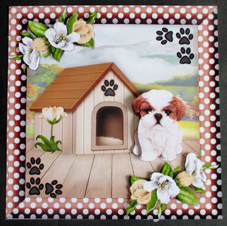 Cute Shit Zu Puppy Birthday Card by Davina Rundle