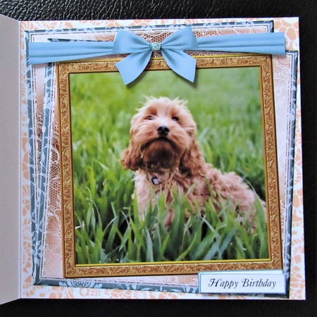 APRICOT COCKERPOO MULTI SENTIMENT 1 by Davina Rundle