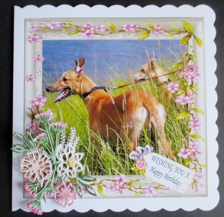 WISHING YOU MULTI SENTIMENTS GREYHOUNDS by Davina Rundle