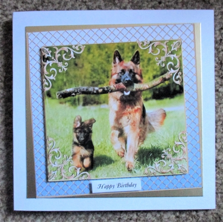 RELAX AND ENJOY SUMMER MULTI SENTIMENTS GERMAN SHEPHERD & PUP by Davina Rundle