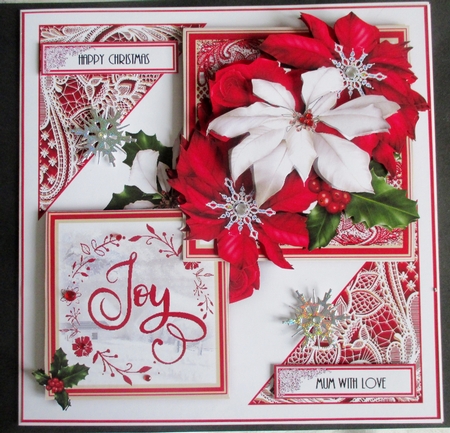 Poinsettia Joy by Davina Rundle