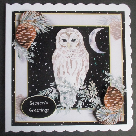 Christmas Moon Owl by Davina Rundle