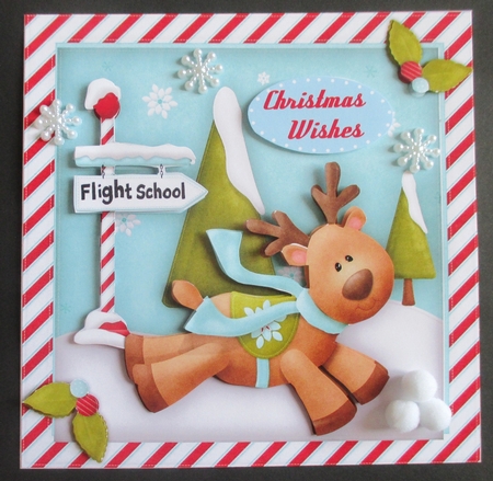 Reindeers Flight School by Davina Rundle