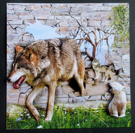 breakout wolves by Davina Rundle