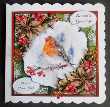 The Christmas Robin by Davina Rundle