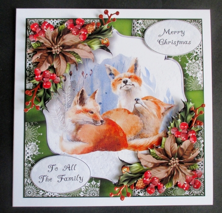 The Fox Family by Davina Rundle