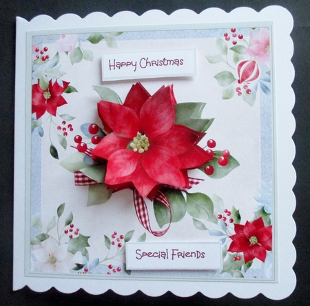 Red poinsettia and berry by Davina Rundle
